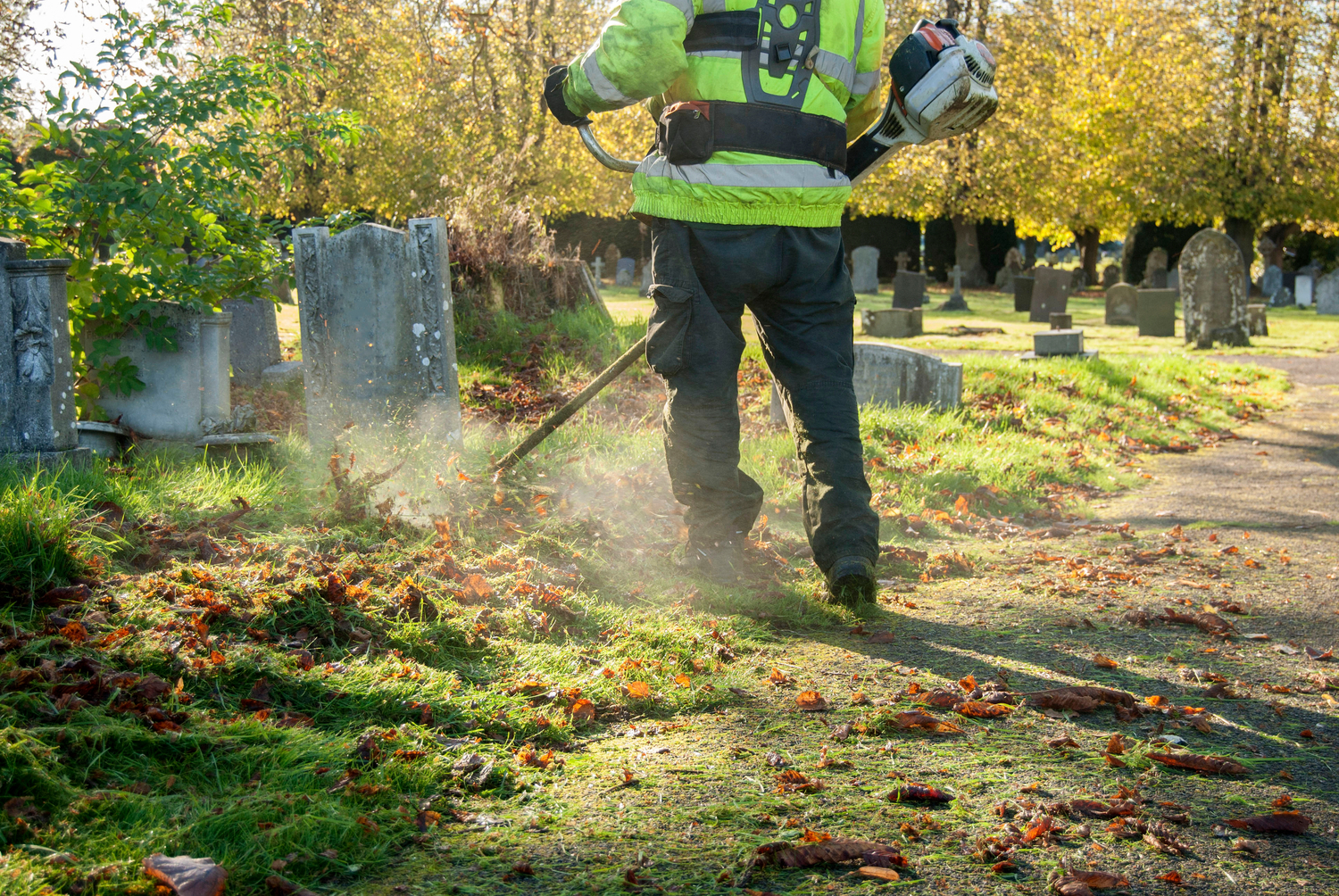 Types And Benefits Of Weed Eaters